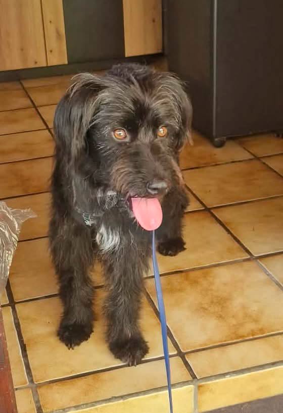 Thumbnail 16